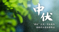 【三伏養(yǎng)生】至熱中伏，吃三樣，喝三樣，三大禁忌千萬(wàn)別犯，小心落下病根！