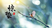 【二十四節(jié)氣灸】驚蟄節(jié)氣，艾灸喚醒抵抗力、補(bǔ)充陽氣的最好時機(jī)！