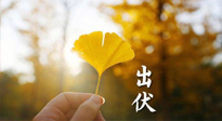 【艾灸三伏天】出伏啦！三防三宜兩穴位，防止身體“秋后算賬”！