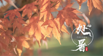 【二十四節氣灸】處暑，冬病夏治倒計時！秋涼真的要來了！