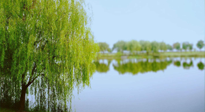【艾灸知識】春三月，必艾灸穴位：疏肝理氣，養(yǎng)血調(diào)神！