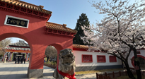 【行業(yè)資訊】新華財經(jīng)：守正創(chuàng)新，中醫(yī)藥品牌化發(fā)展“更上一層樓”！