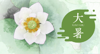 【二十四節氣灸】大暑節氣：記得艾灸，趁暑化濕解冬病！