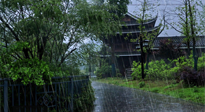 【艾灸知識】多雨的日子里，艾灸會不會加重濕氣呢？